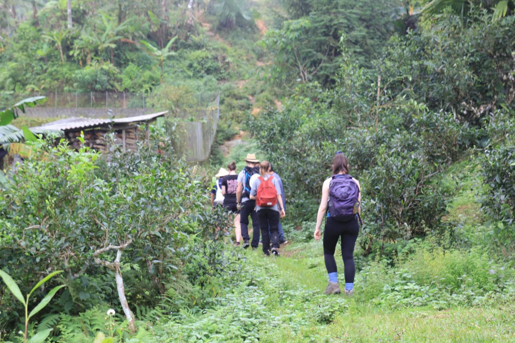 شقة Thavill Retreat Hagiang ها جيانج المظهر الخارجي الصورة