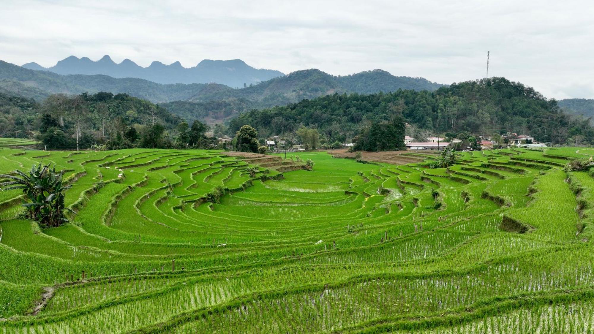شقة Thavill Retreat Hagiang ها جيانج المظهر الخارجي الصورة