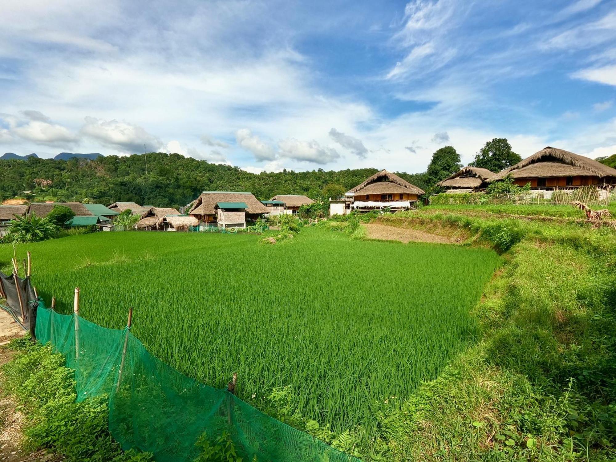 شقة Thavill Retreat Hagiang ها جيانج المظهر الخارجي الصورة
