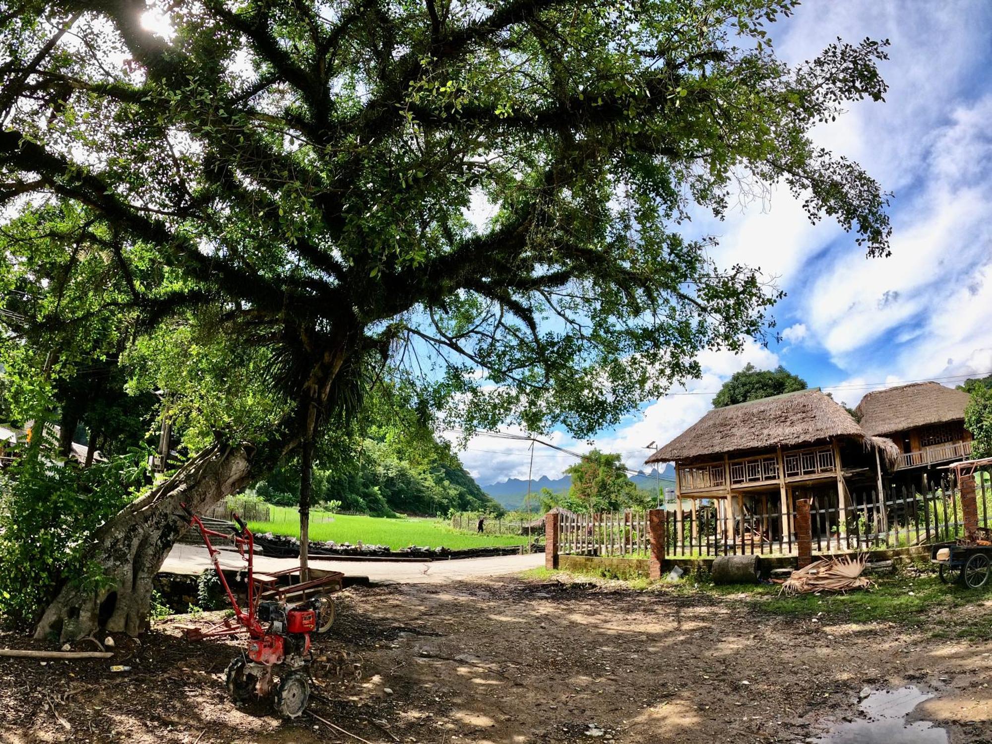 شقة Thavill Retreat Hagiang ها جيانج المظهر الخارجي الصورة